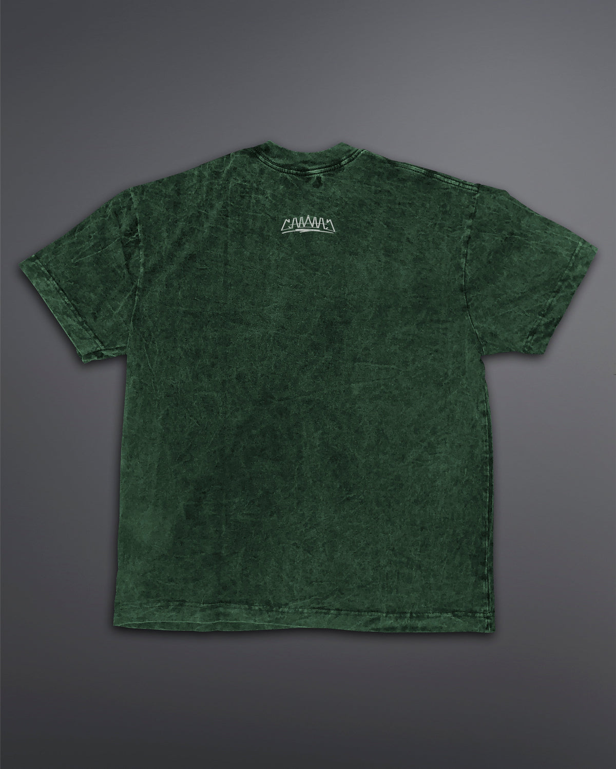 Acid Wash Oversized Tee [TOXIC MOSS COLORWAY]