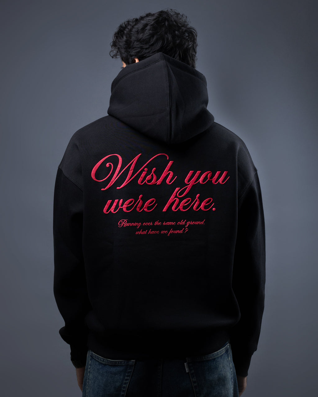 Pink Flyod Hoodie