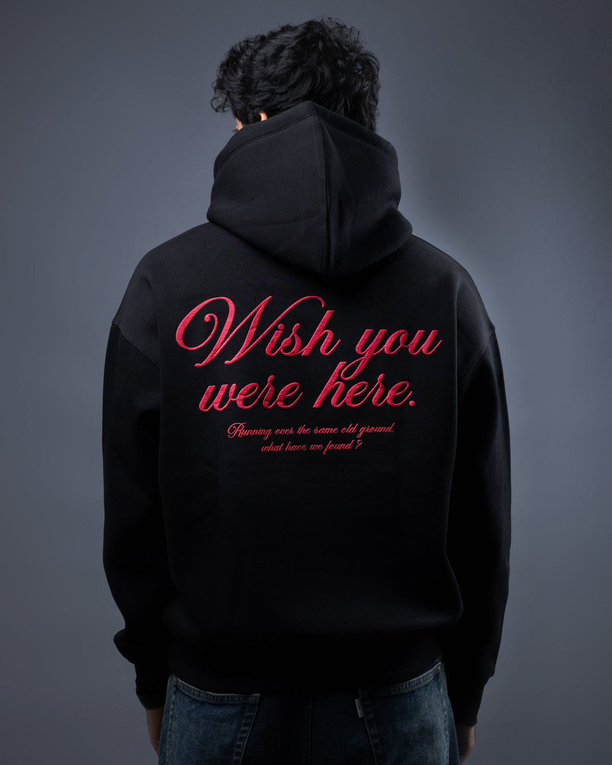 Pink Flyod Hoodie