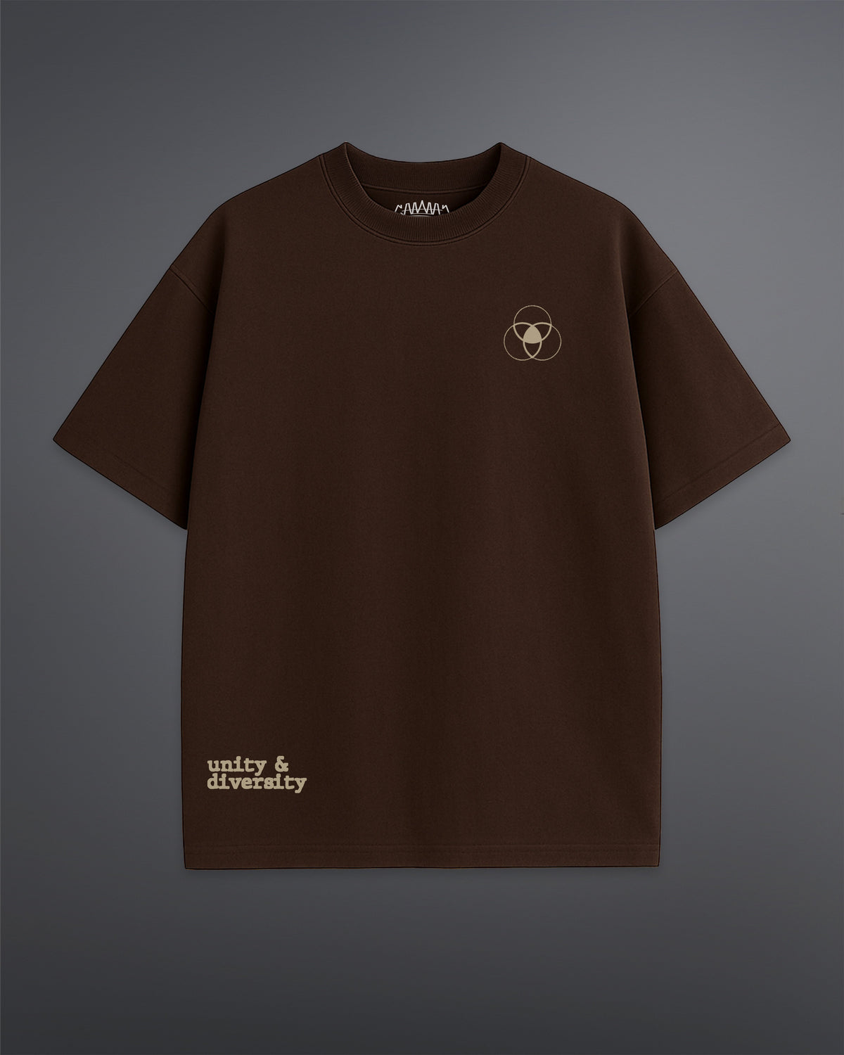 Unity & Diversity Oversized Tee